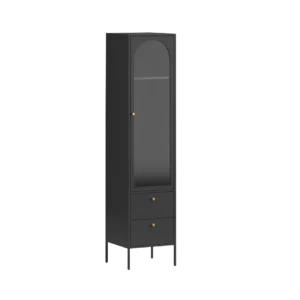 KEISHI CABINET 1D WD